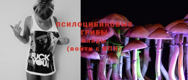 mix Козельск