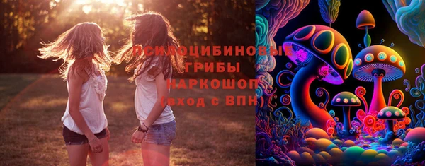 mix Козельск