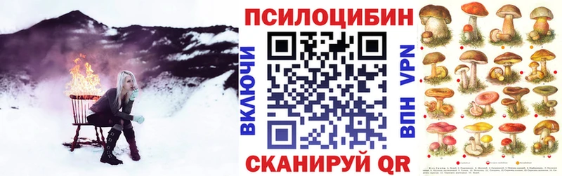 Галлюциногенные грибы мицелий  Купить где  Каспийск 